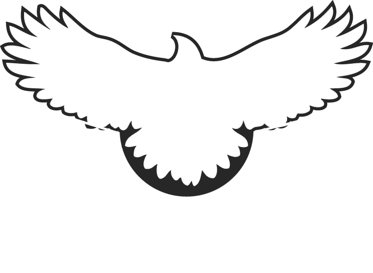 Roli Fly